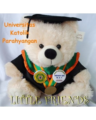 Boneka Wisuda Universitas Katolik Parahyangan - Teknik (30 cm)